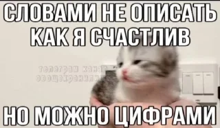 🥹 emoji Котики Telegram sticker 14 of 90