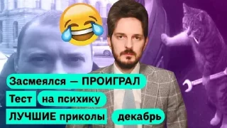 🌟 emoji Кацушенька Telegram sticker 2 of 120