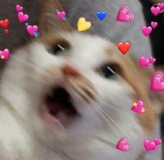 🥰 emoji На все случаи Telegram sticker 10 of 64