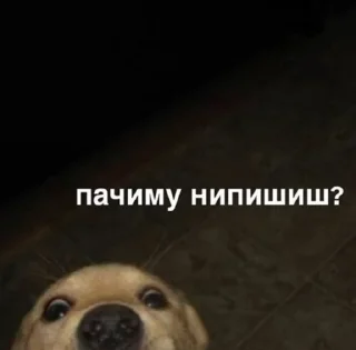 🤔 emoji На все случаи Telegram sticker 11 of 64