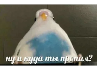 🤔 emoji На все случаи Telegram sticker 18 of 64