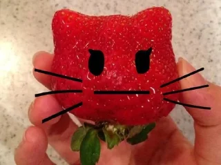 🍓 emoji клубнека от спит Telegram sticker 18 of 27