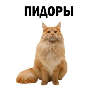 👿 emoji для котиков Telegram sticker 15 of 20