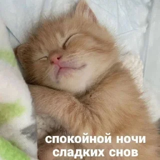 😴 emoji бб1❤️‍🔥 Telegram sticker 23 of 119