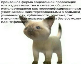 😼 emoji бамс Telegram sticker 8 of 20