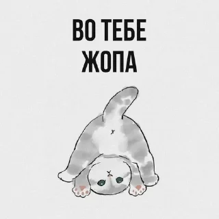 😼 emoji бамс Telegram sticker 10 of 20