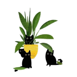 🐱 emoji Divamavia.plants : Telegram sticker 16 of 49
