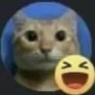🫤 emoji кристи mood Telegram sticker 14 of 44