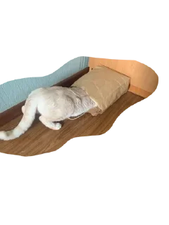 🌟 emoji боня любимый Telegram sticker 6 of 12