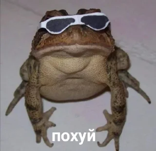 😎 emoji Да, трэш Telegram sticker 14 of 16