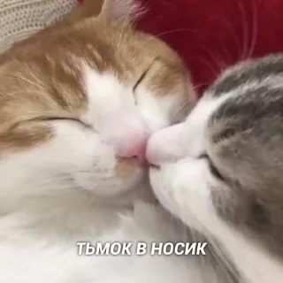 ❤️ emoji моё на всё случаи жизни Telegram sticker 11 of 94