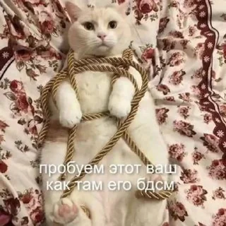 🙂 emoji Люблю Александра Telegram sticker 17 of 20