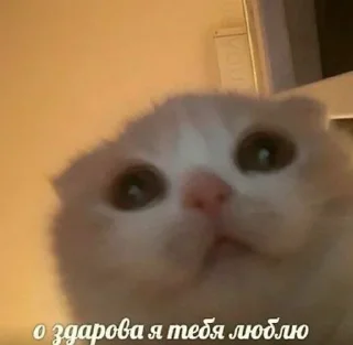 💗 emoji Люблю Александра Telegram sticker 12 of 20