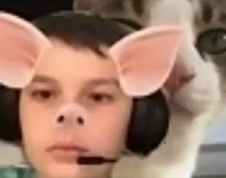 🐷 emoji дурка Telegram sticker 5 of 21
