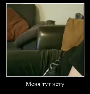 🐈 emoji Демотиваторы Telegram sticker 16 of 35