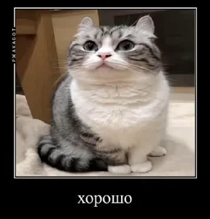 👌 emoji Демотиваторы Telegram sticker 5 of 35