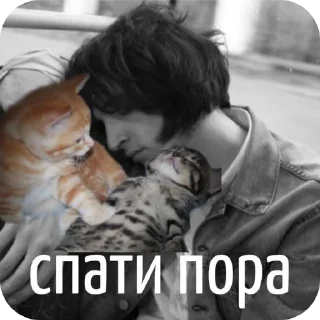 🐶 emoji Kaplanchik Telegram sticker 14 of 41
