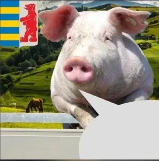 🐖 emoji Срусини by @ukrmapping Telegram sticker 14 of 15