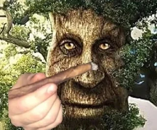 😱 emoji Наебни говна олух Telegram sticker 22 of 22