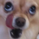 😋 emoji Іт ду бі лайк зет Telegram sticker 15 of 38