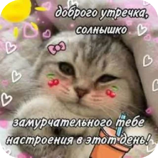 🐱 emoji мопс Telegram sticker 7 of 10