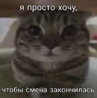 😭 emoji Невдупленыши Telegram sticker 8 of 105
