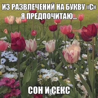 🔞 emoji для важных переговоров 4 Telegram sticker 1 of 63