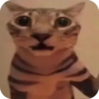 😨 emoji Котеки Telegram sticker 14 of 18