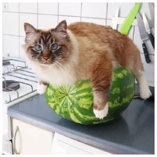 😄 emoji Виктор сексуалис Telegram sticker 11 of 15