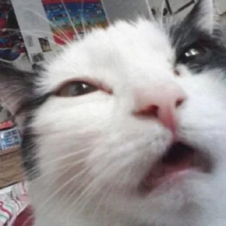 😧 emoji Виктор сексуалис Telegram sticker 8 of 15