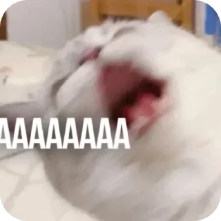 😫 emoji котики Telegram sticker 6 of 55