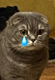 😢 emoji Бонстер Telegram sticker 18 of 25