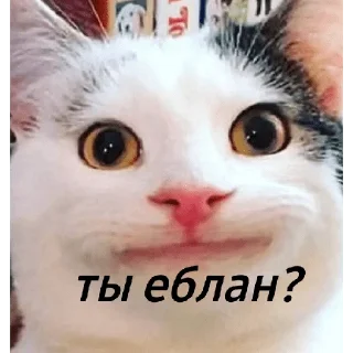 Sticker from Че
