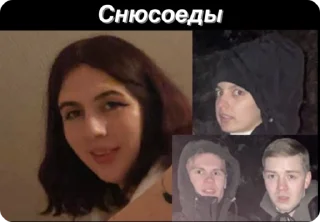 Sticker from Шведская семья