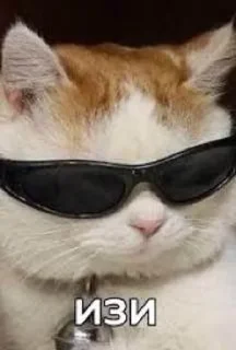 😎 emoji Кисики Telegram sticker 6 of 107