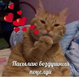 😘 emoji Кисики Telegram sticker 19 of 107