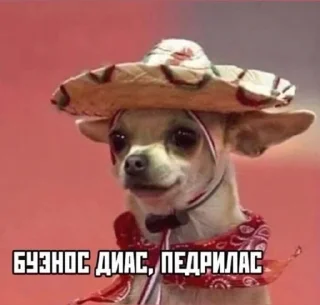 👋 emoji Четвёртый нахой Telegram sticker 8 of 120