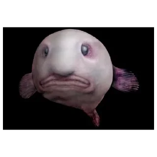 😄 emoji Рыба-капля Telegram sticker 10 of 13
