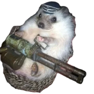 🦔 emoji ABOBA Telegram sticker 17 of 107