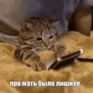 🌟 emoji Блэнди.v3 @ASBland Telegram sticker 21 of 120