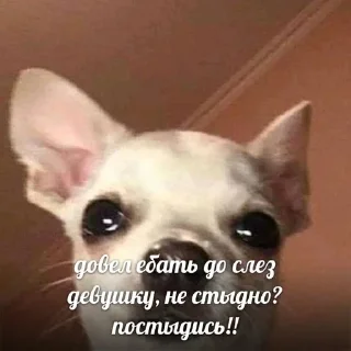 🤧 emoji hellokитя Telegram sticker 19 of 27