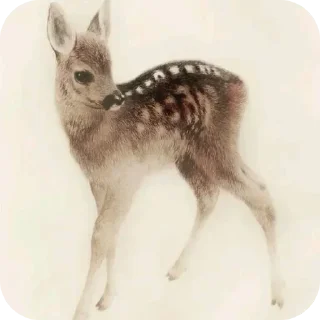 🤎 emoji deer cute🍂 @glvsi Telegram sticker 1 of 42