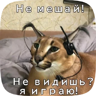 🎮 emoji Шлёпа 2 Telegram sticker 8 of 50