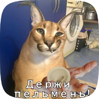 🥟 emoji Шлёпа 2 Telegram sticker 9 of 50