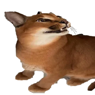 😸 emoji Шлёпа 2 Telegram sticker 21 of 50