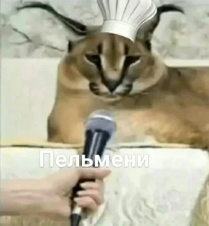 Sticker from Шлёпа