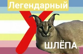 ✨ emoji Шлёпа Telegram sticker 13 of 25