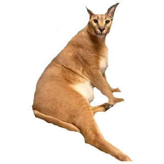 Sticker from Шлёпа 3