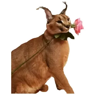 💚 emoji Шлёпа 3 Telegram sticker 16 of 25
