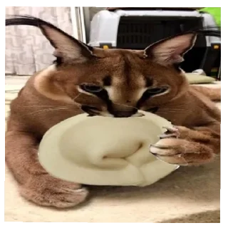 🍴 emoji Шлёпа Telegram sticker 10 of 18